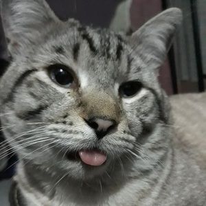 Meet your Posher, Iván